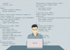 vector image of programmer